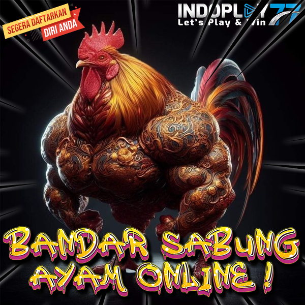 INDOPLAY77 $ pilihan terbaik untuk sabung ayam online sv388 2025