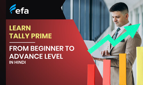 Learn Tally Prime (Beginner to Advanced) In Hindi