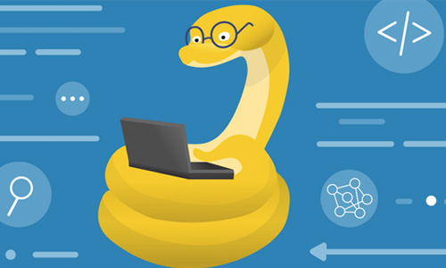 Learn Essential Searching, Sorting and Graph Algorithms using Python - Course in Hindi